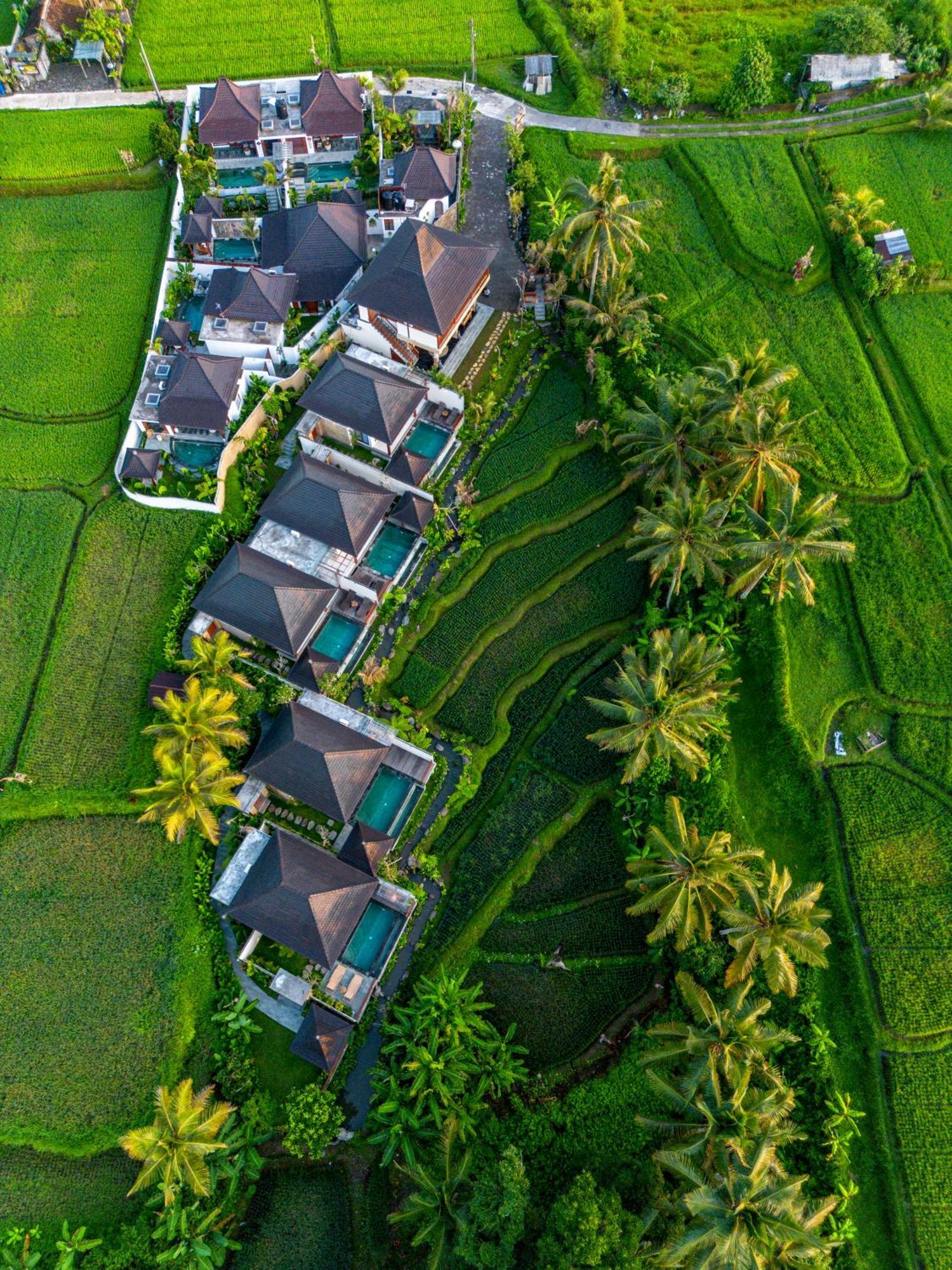 Dewi Kunti Villa Tegallalang  Extérieur photo