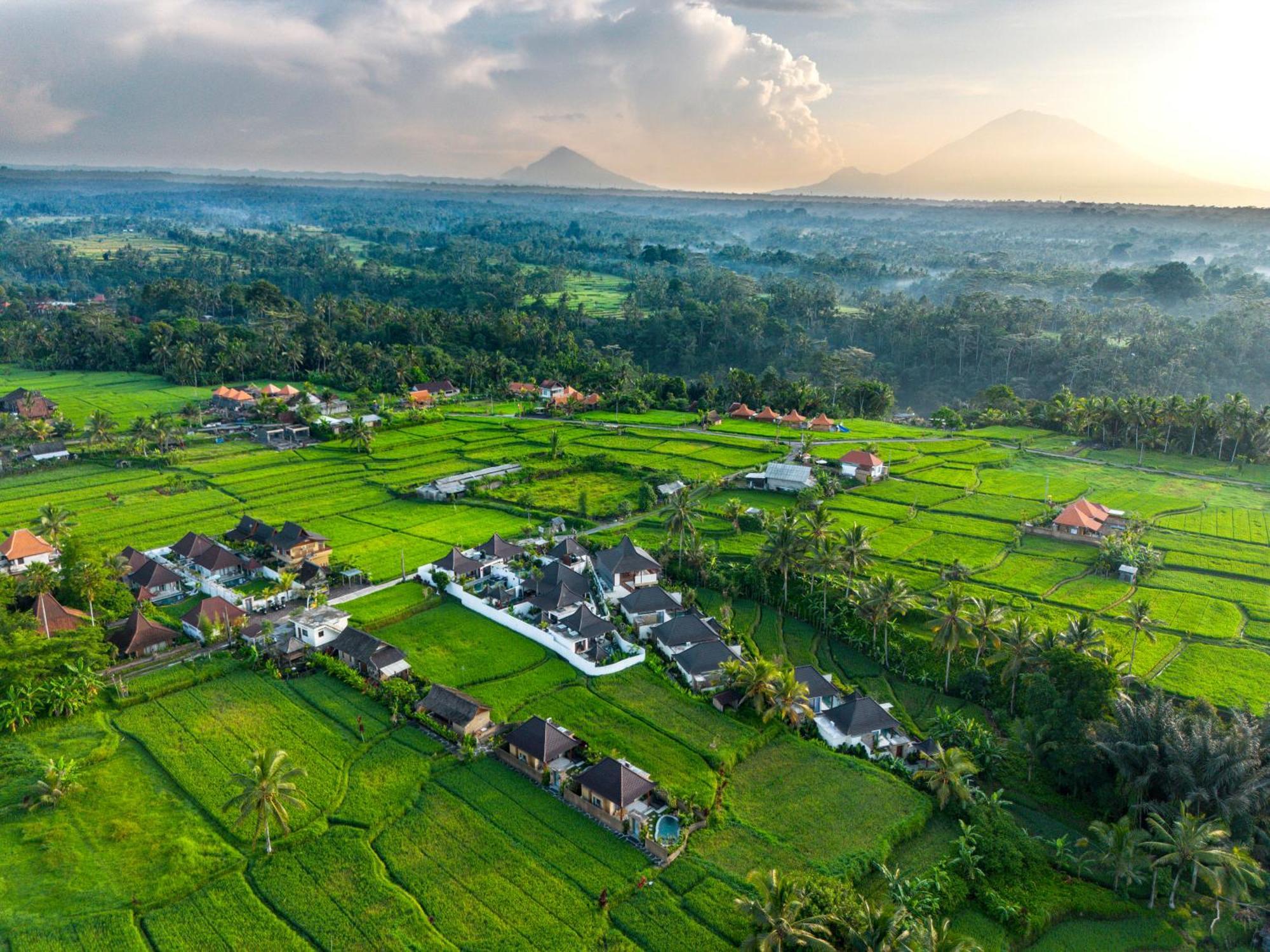 Dewi Kunti Villa Tegallalang  Extérieur photo