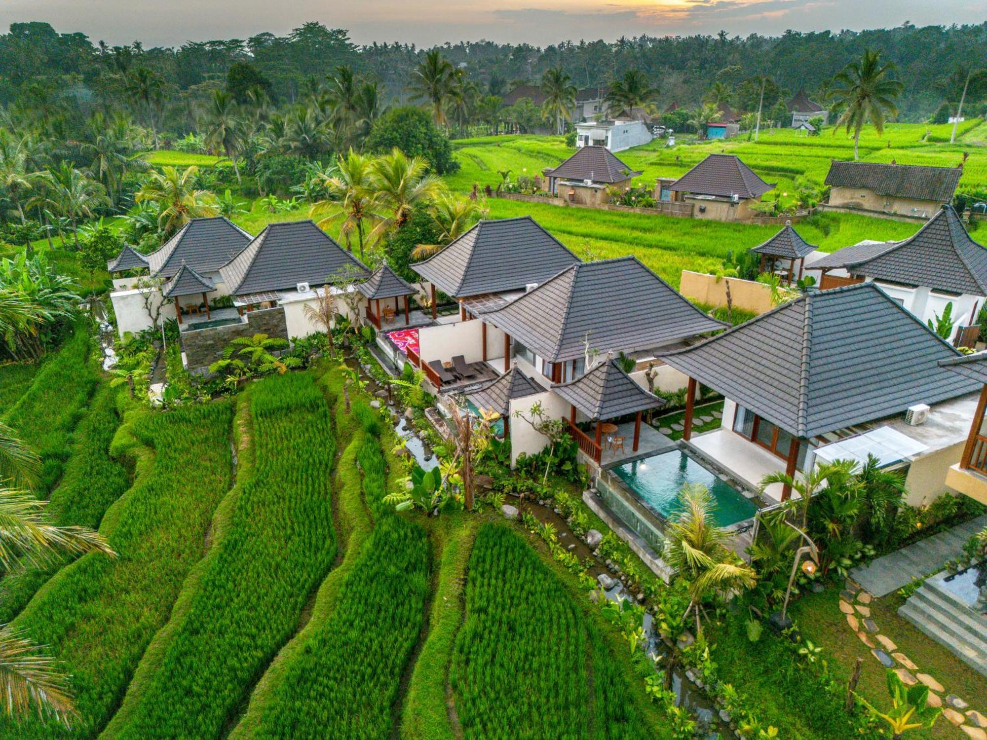 Dewi Kunti Villa Tegallalang  Extérieur photo
